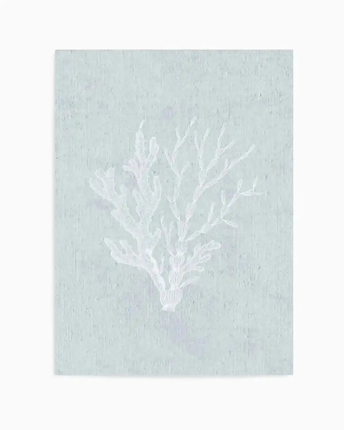 Hamptons Seaside Collection IV White Art Print from Olive et Oriel where you can shop wallpaper and artworks online