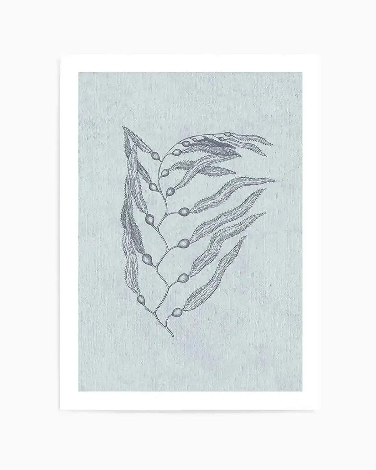 Hamptons Seaside Collection V Blue Art Print from Olive et Oriel where you can shop wallpaper and artworks online