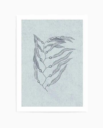 Line drawing of botanical plant specimen on soft sage green background, featuring central stem with alternating elongated leaves and small spherical seed pods or berries arranged vertically. Detailed pen sketch rendered in dark gray ink with fine hatching and delicate linework. Art print mounted with white border on white backing.