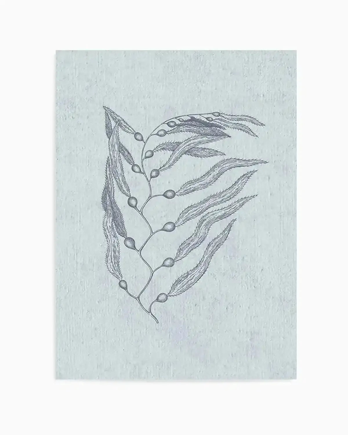 Hamptons Seaside Collection V Blue Art Print from Olive et Oriel where you can shop wallpaper and artworks online