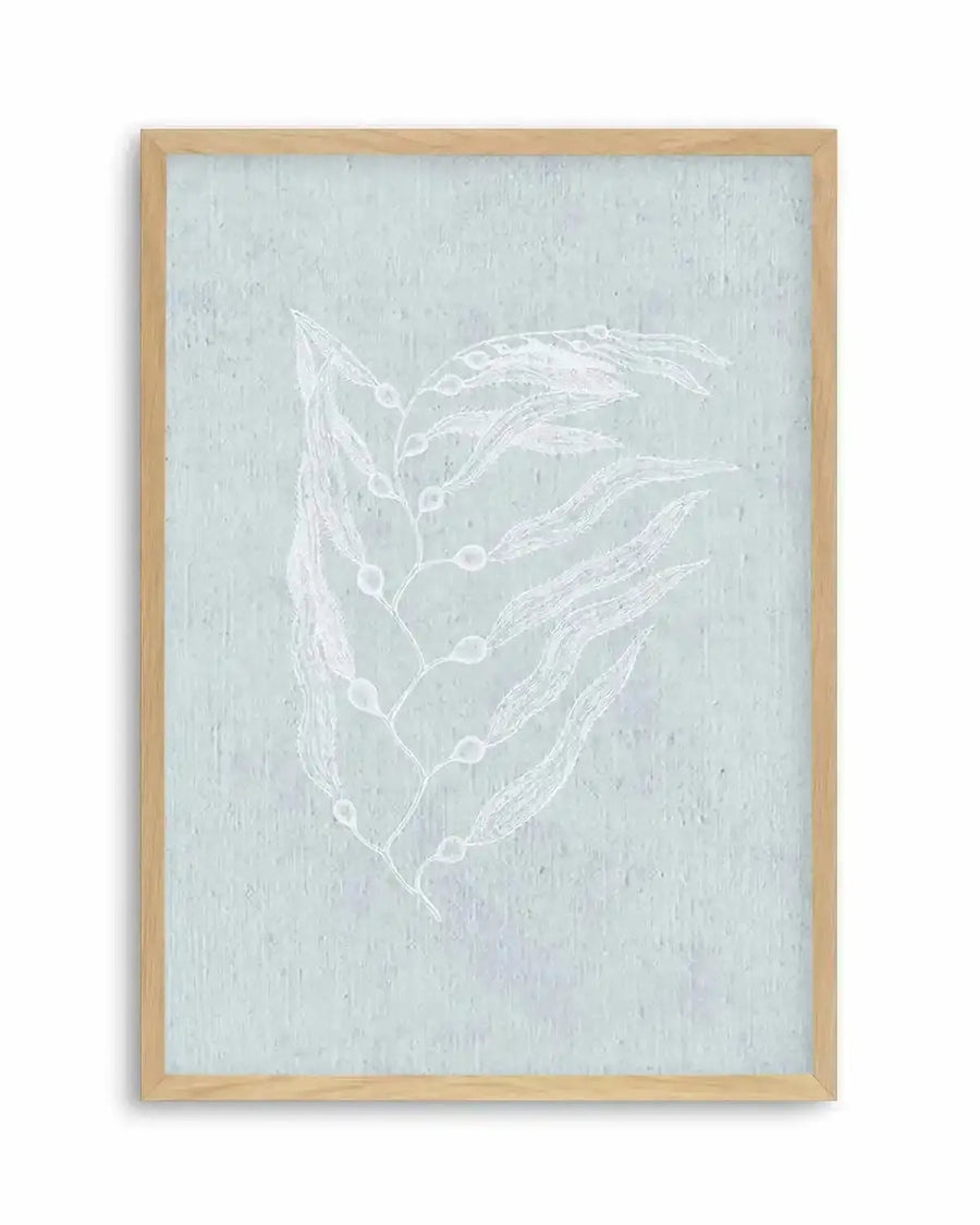 White botanical line drawing on soft sage green textured background, depicting delicate branching plant stems with small oval seed pods arranged in vertical composition. Natural wood frame with light finish. Minimalist botanical illustration style with fine white linework creating serene, coastal aesthetic.