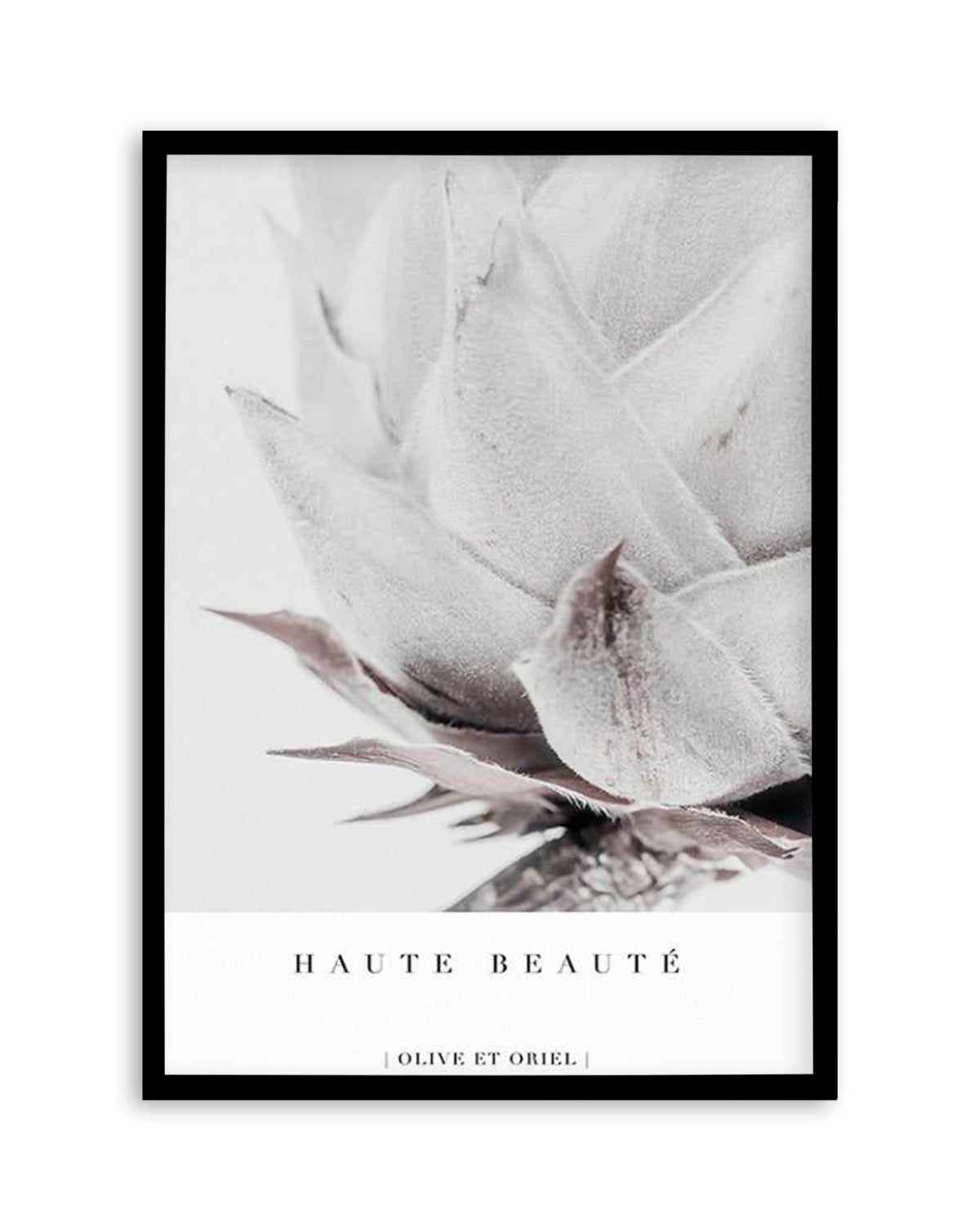 Haute Beaute | King Protea Art Print