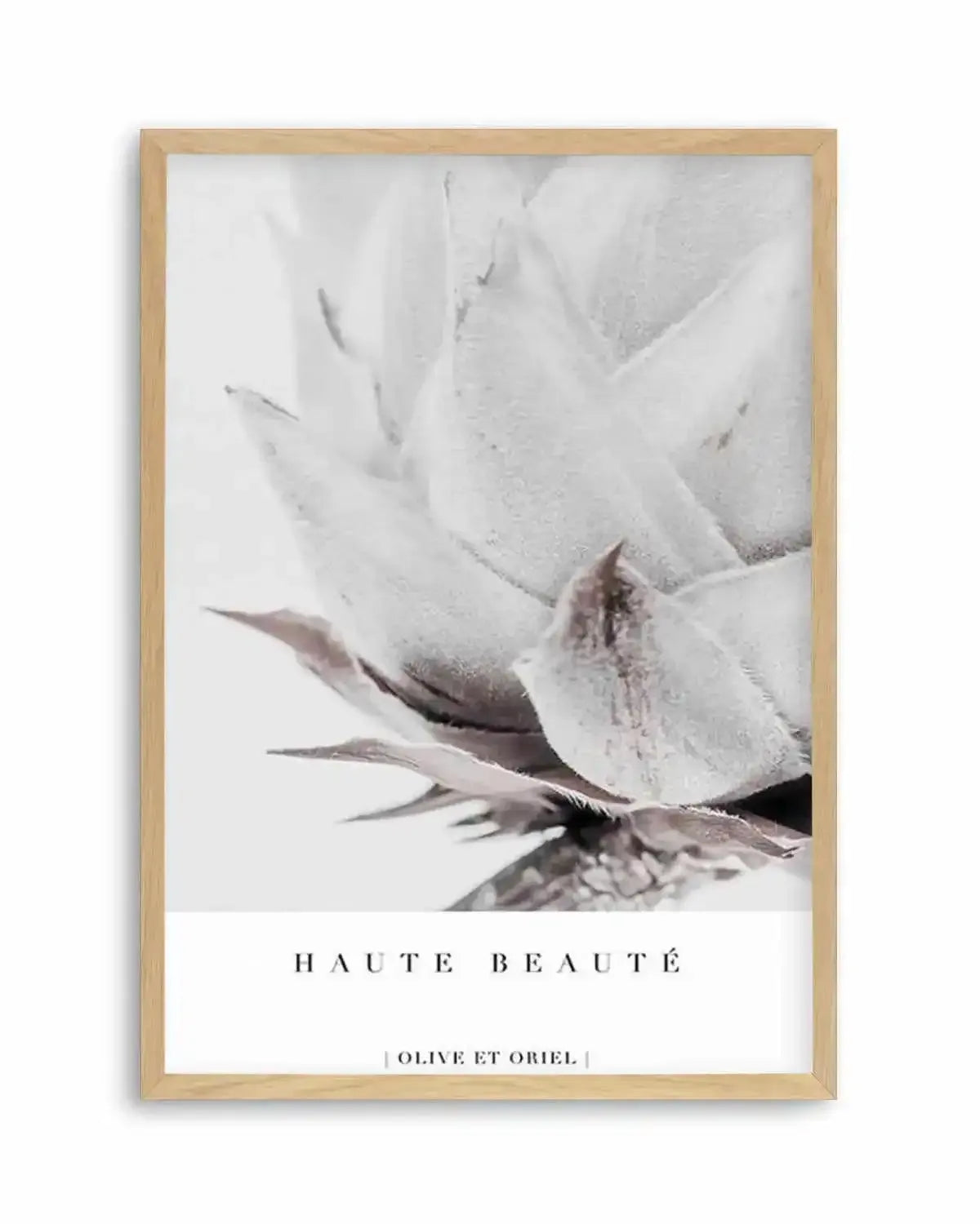Haute Beaute | King Protea Art Print from Olive et Oriel where you can shop wallpaper and artworks online