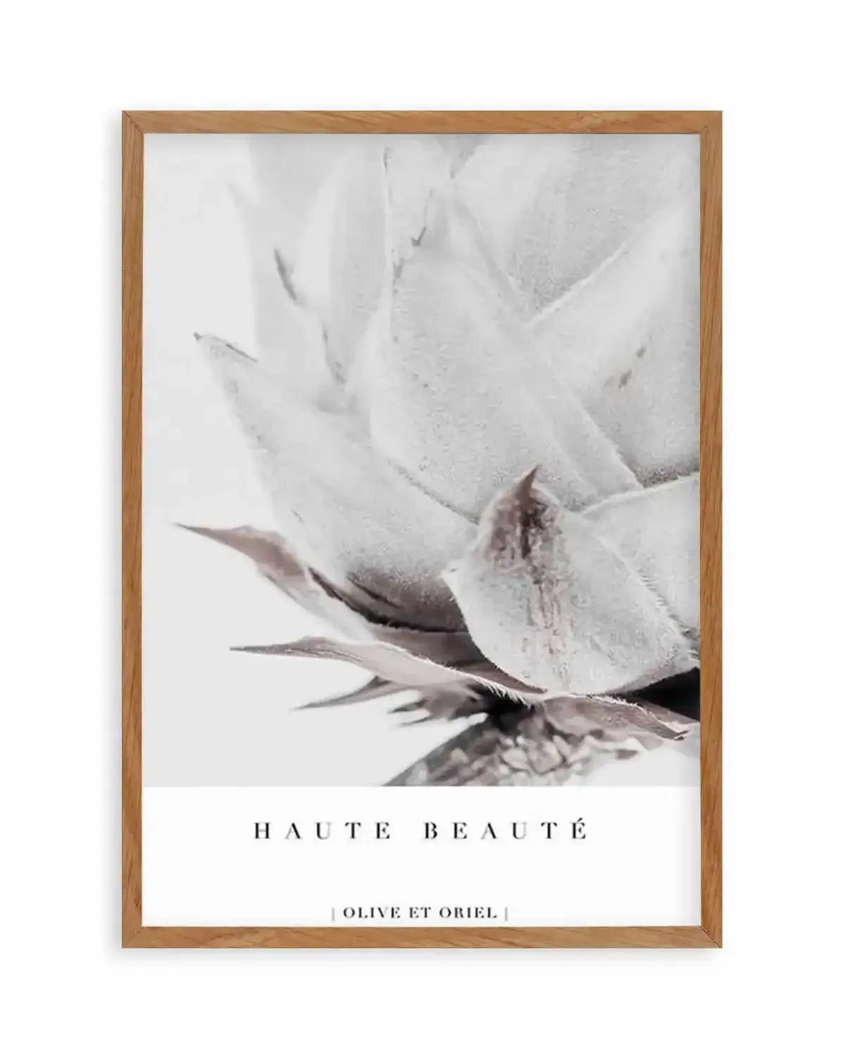 Haute Beaute | King Protea Art Print from Olive et Oriel where you can shop wallpaper and artworks online