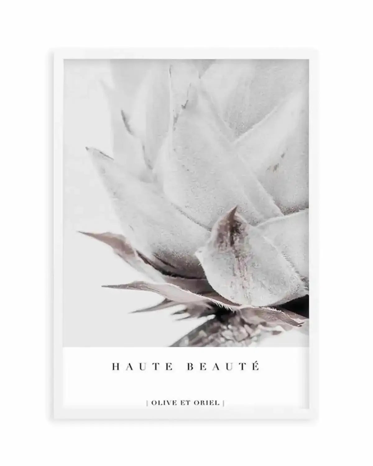 Haute Beaute | King Protea Art Print from Olive et Oriel where you can shop wallpaper and artworks online