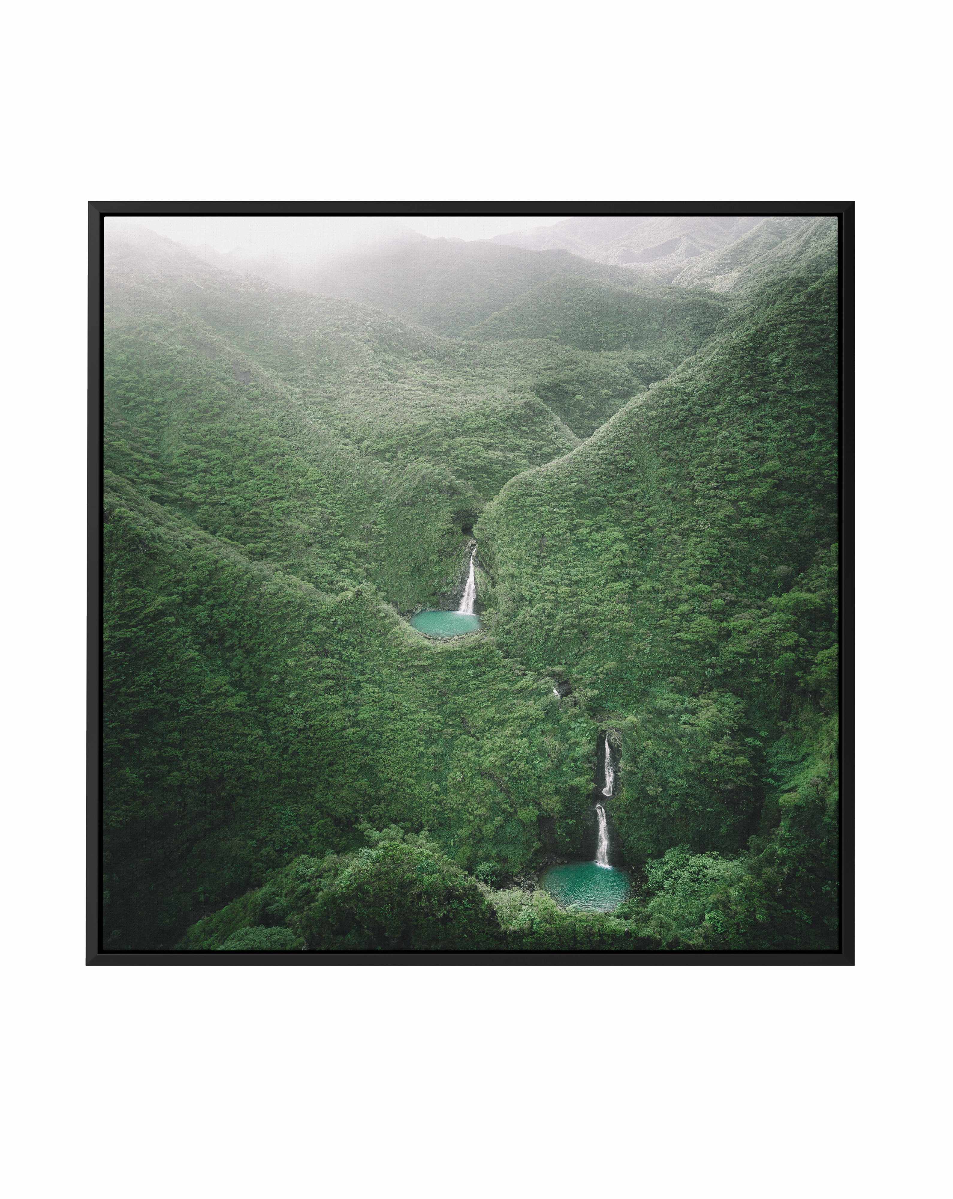 Hawaii by Kalen X | Framed Canvas Art Print