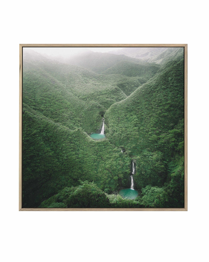 Hawaii by Kalen X | Framed Canvas Art Print