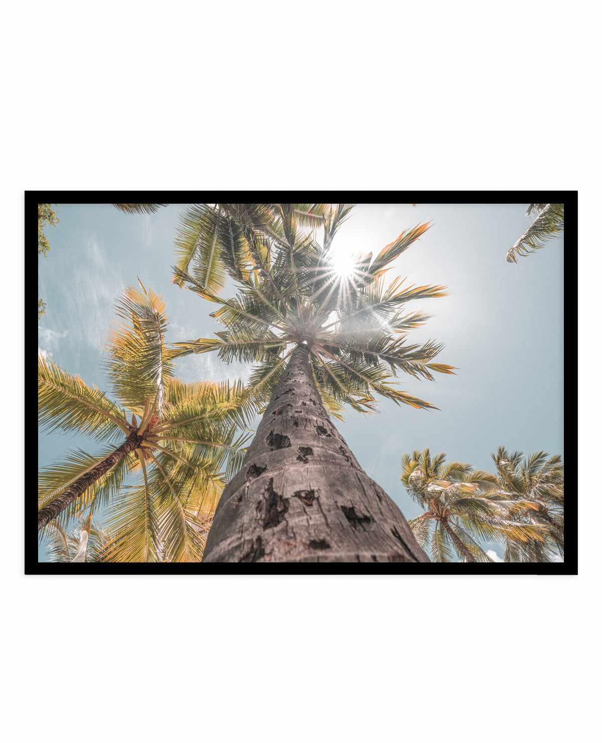 Hawaii Palms by Ozzy Geercke | Art Print from Olive et Oriel where you can shop wallpaper and artworks online