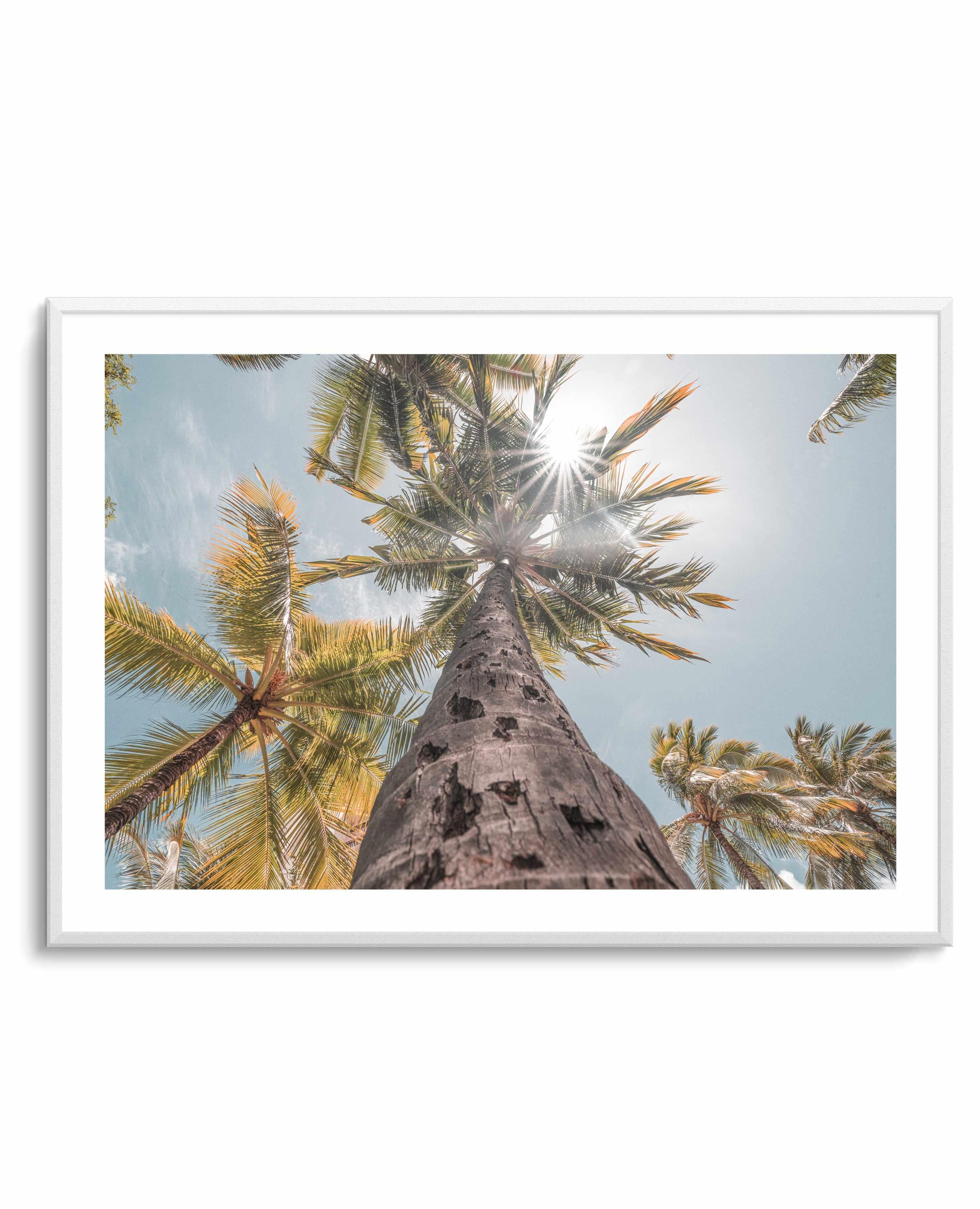 Hawaii Palms by Ozzy Geercke | Art Print from Olive et Oriel where you can shop wallpaper and artworks online