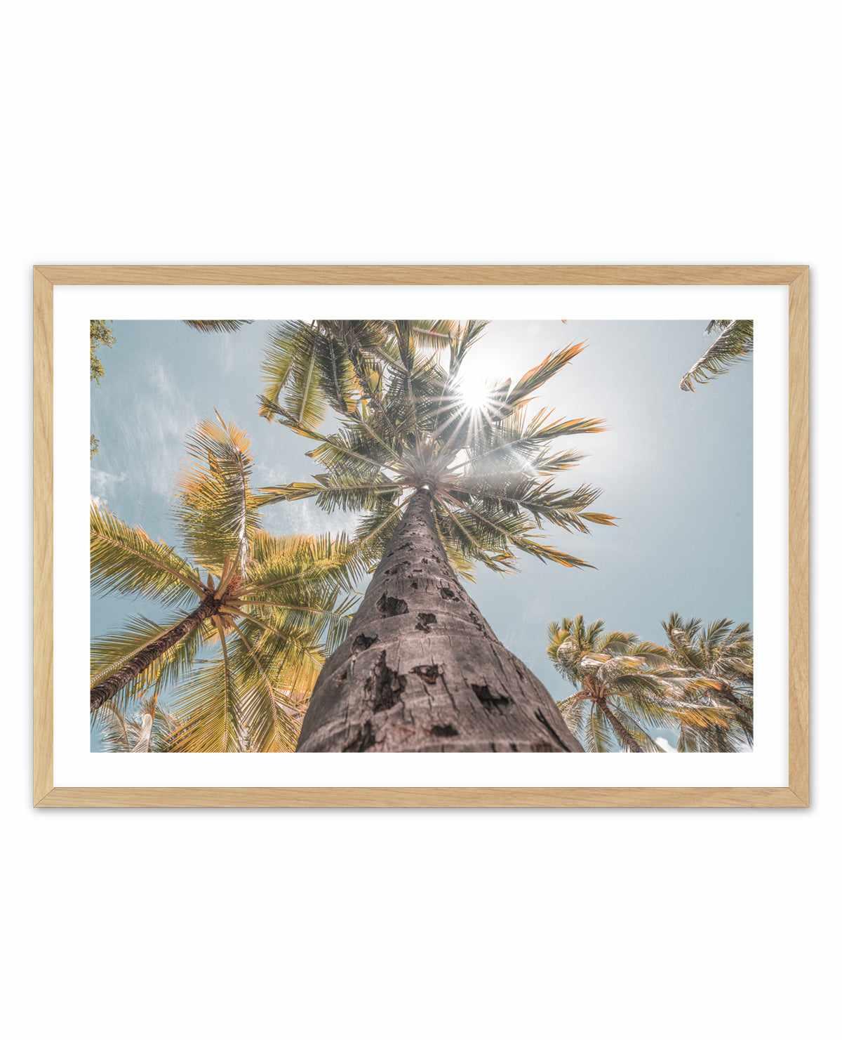 Hawaii Palms by Ozzy Geercke | Art Print from Olive et Oriel where you can shop wallpaper and artworks online
