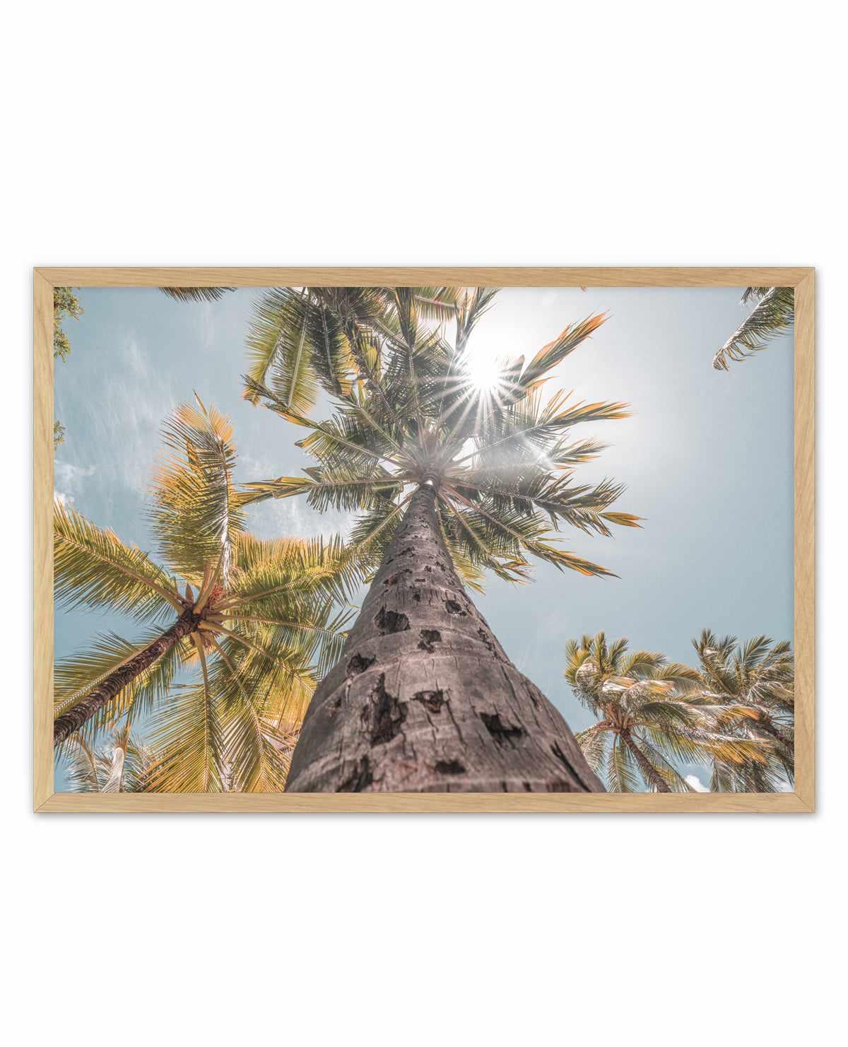Hawaii Palms by Ozzy Geercke | Art Print from Olive et Oriel where you can shop wallpaper and artworks online