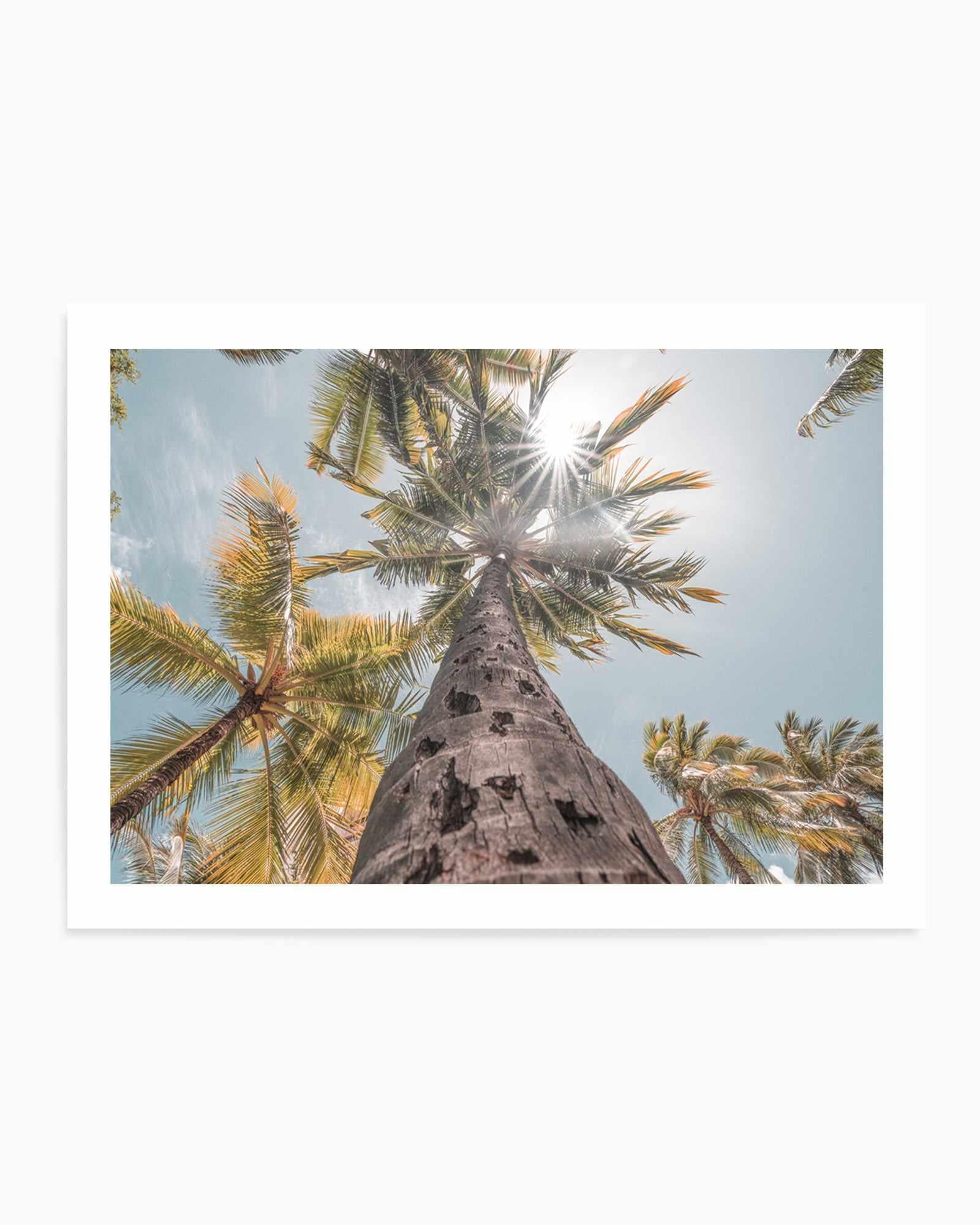 Hawaii Palms by Ozzy Geercke | Art Print from Olive et Oriel where you can shop wallpaper and artworks online