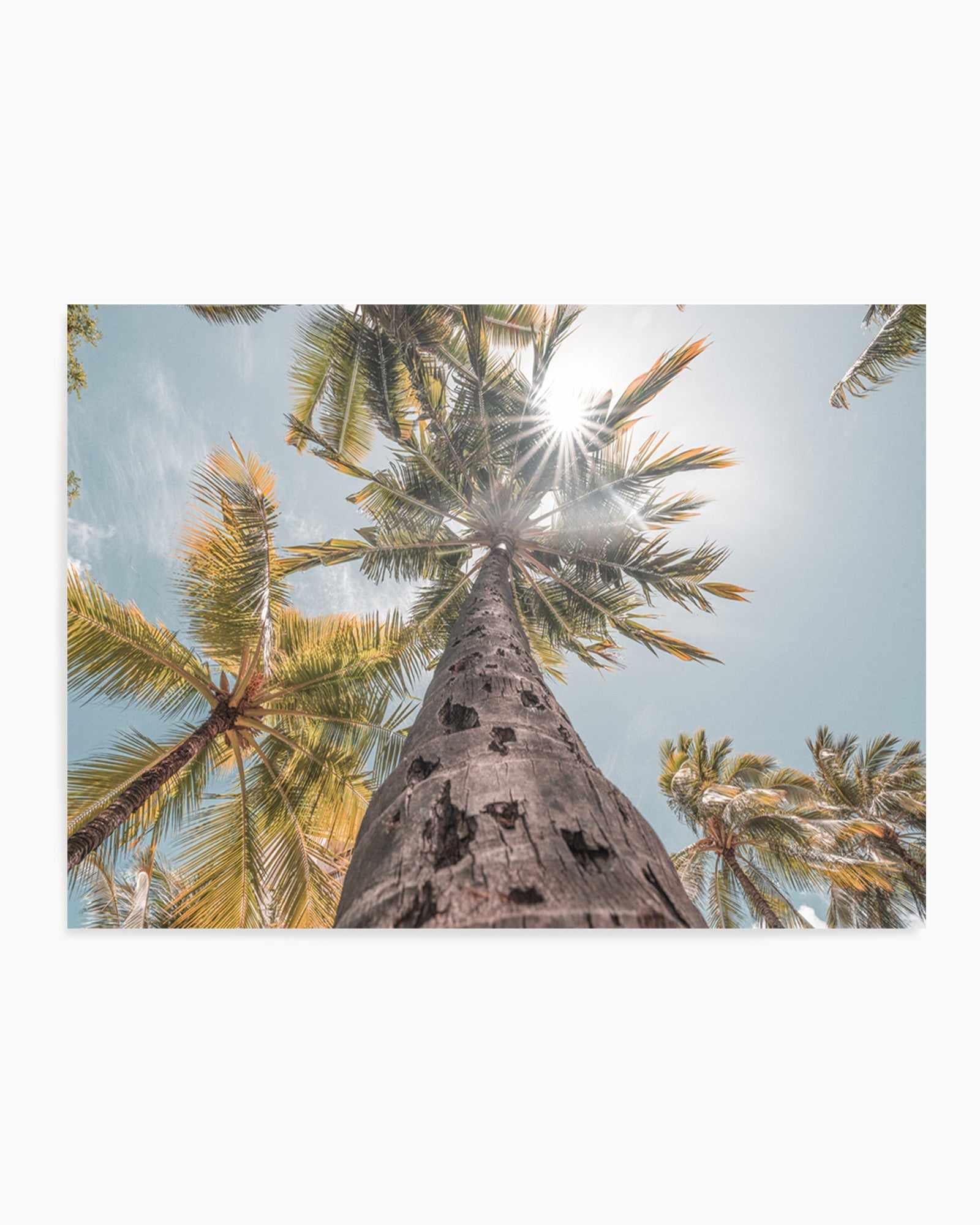 Hawaii Palms by Ozzy Geercke | Art Print from Olive et Oriel where you can shop wallpaper and artworks online