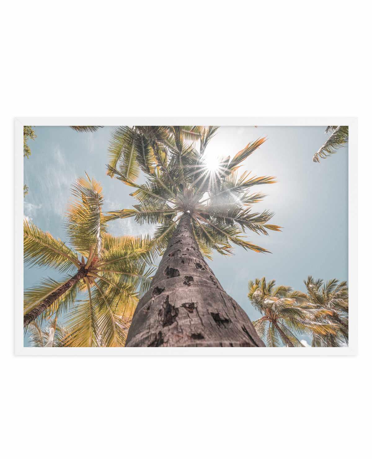 Hawaii Palms by Ozzy Geercke | Art Print from Olive et Oriel where you can shop wallpaper and artworks online