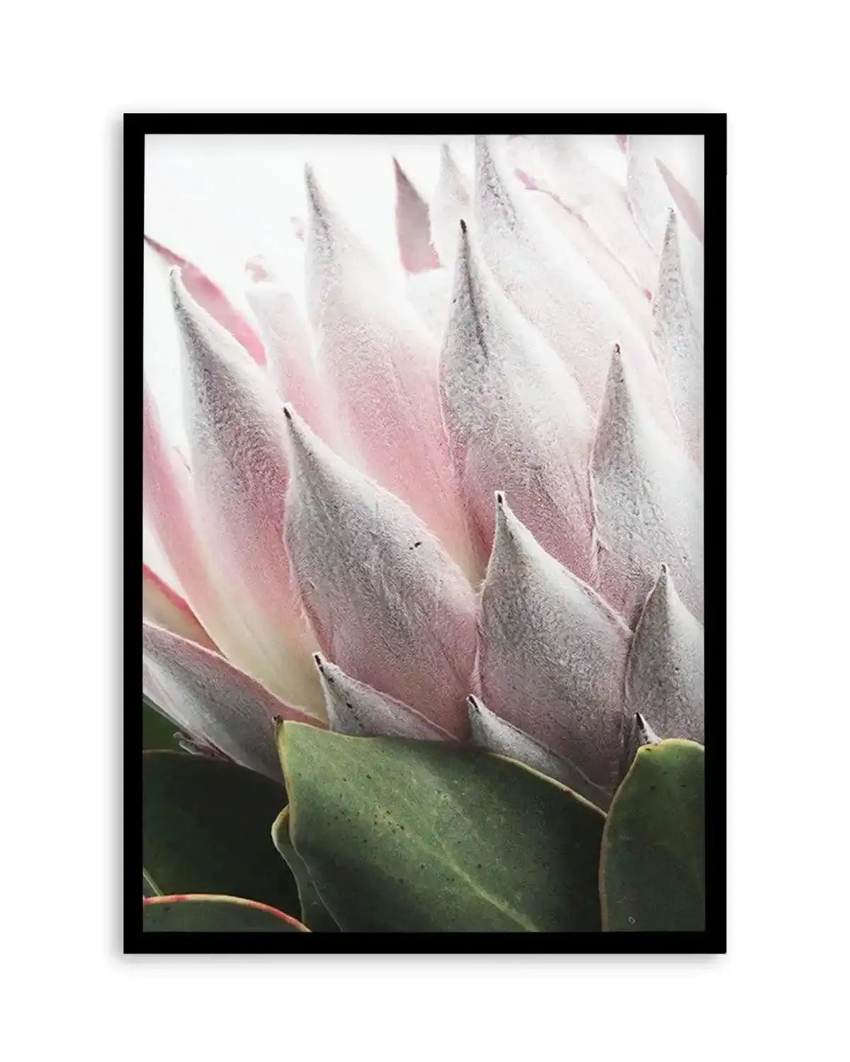 Her Crown Art Print from Olive et Oriel where you can shop wallpaper and artworks online