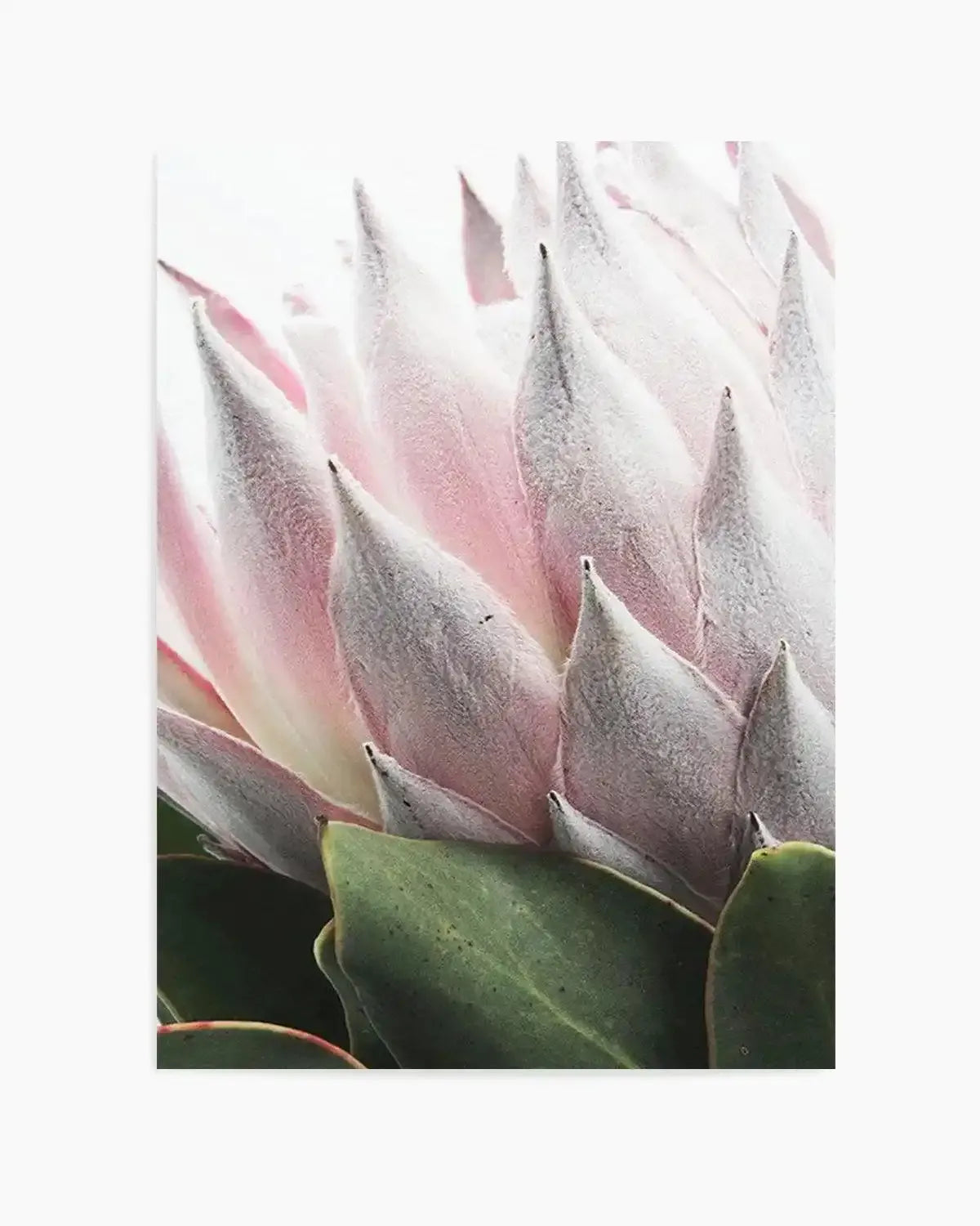 Her Crown Art Print from Olive et Oriel where you can shop wallpaper and artworks online