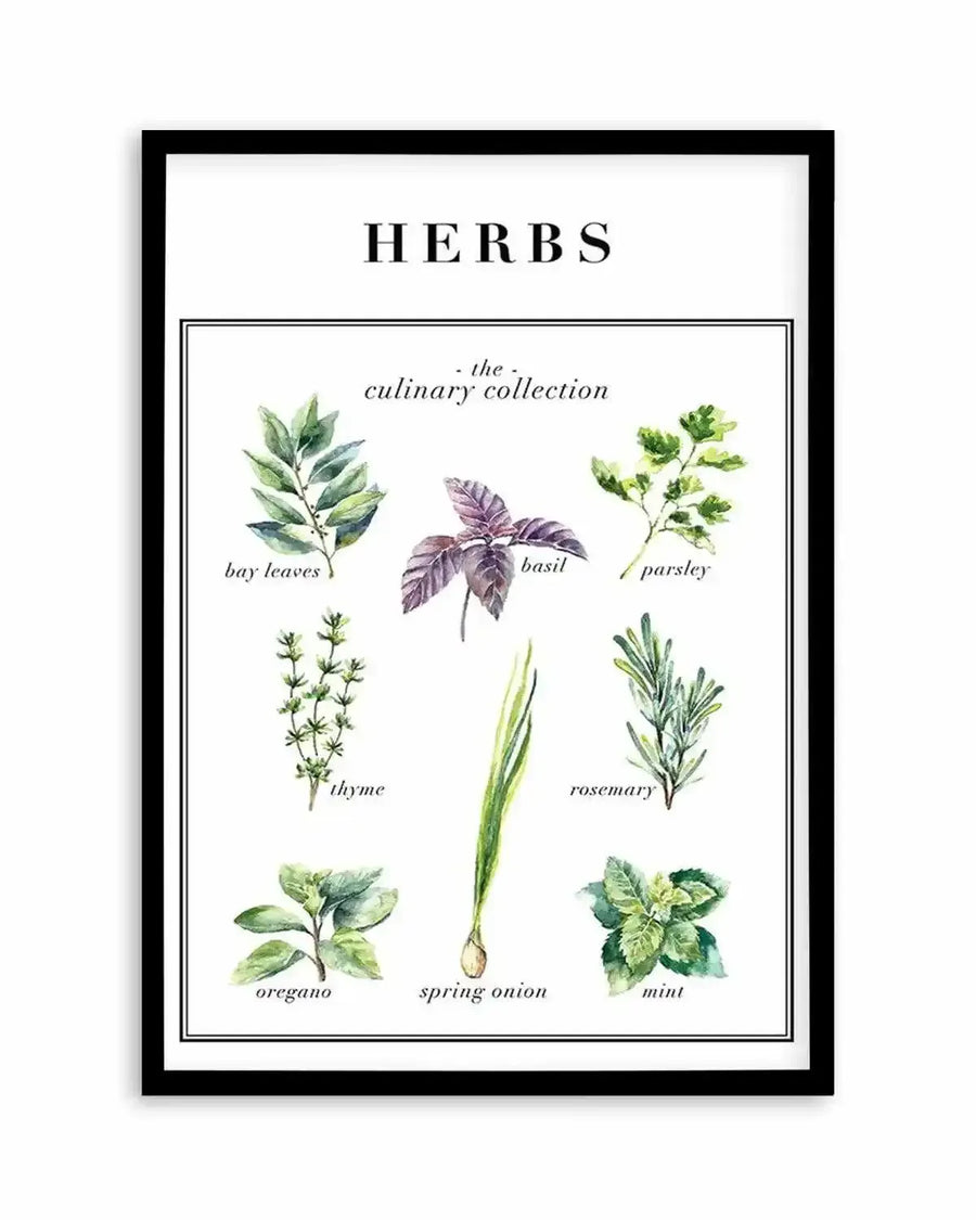 Framed art print titled "Herbs: The Culinary Collection" featuring nine watercolor botanical illustrations arranged on a white background. Top row shows bay leaves, purple basil, and parsley. Middle row displays thyme, a green spring onion, and rosemary. Bottom row includes oregano, mint, and a centered spring onion. Each herb is labeled in italicized script. The artwork is enclosed in a black frame with a white border, creating a clean, organized kitchen or culinary-themed wall display.