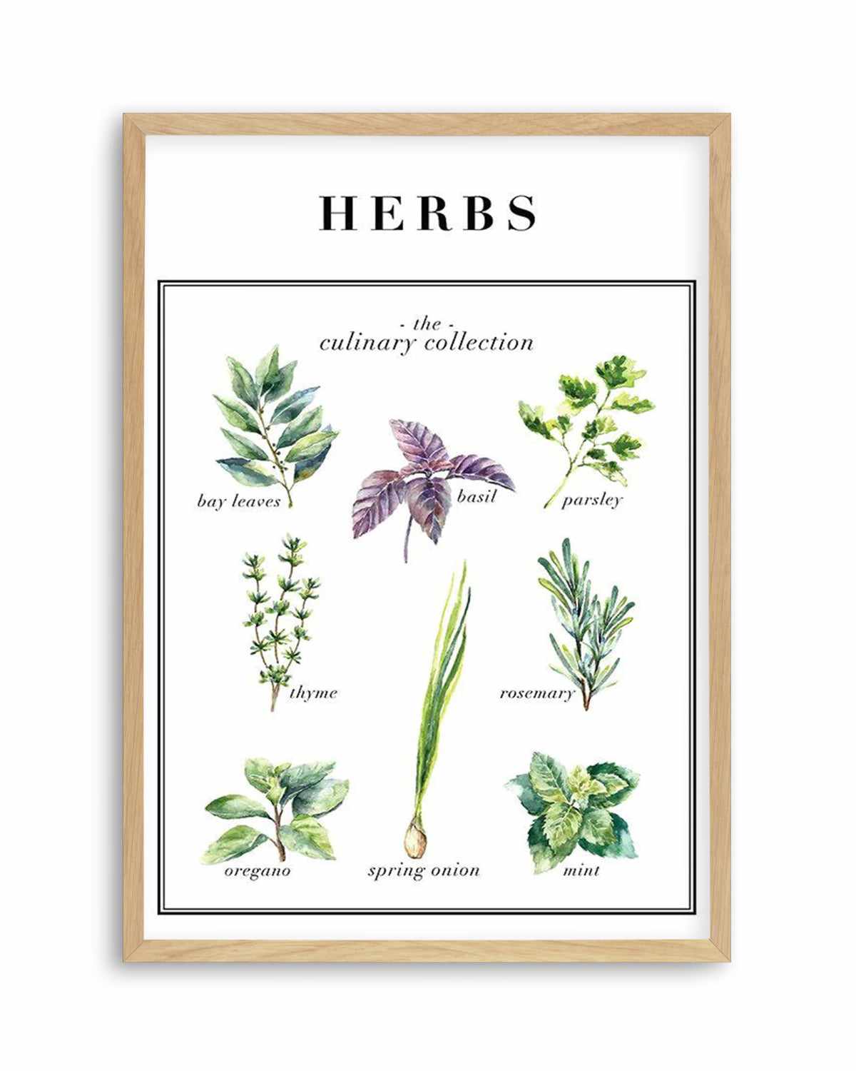 Herbs Art Print