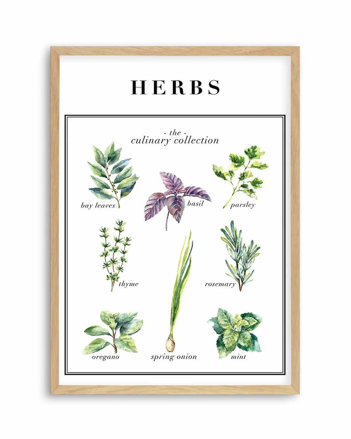 Herbs Art Print or Poster. – Olive et Oriel