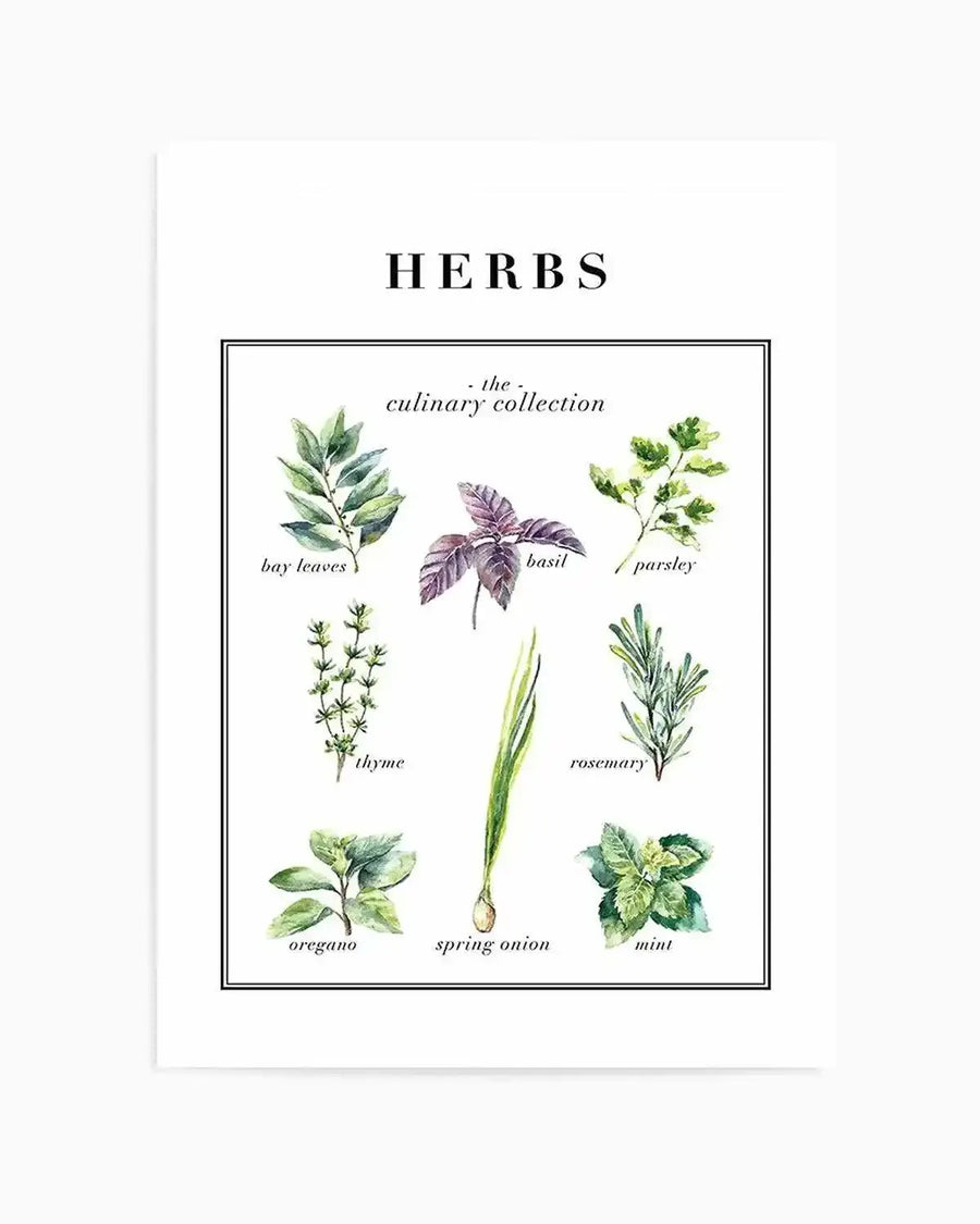 Herbs Art Print from Olive et Oriel where you can shop wallpaper and artworks online