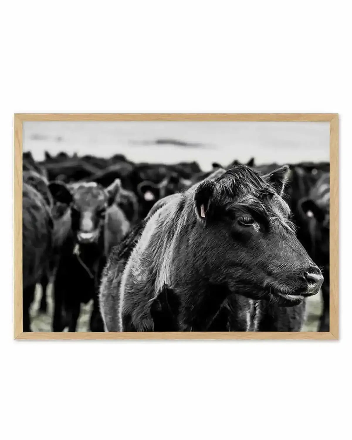 Herd | LS Art Print from Olive et Oriel where you can shop wallpaper and artworks online