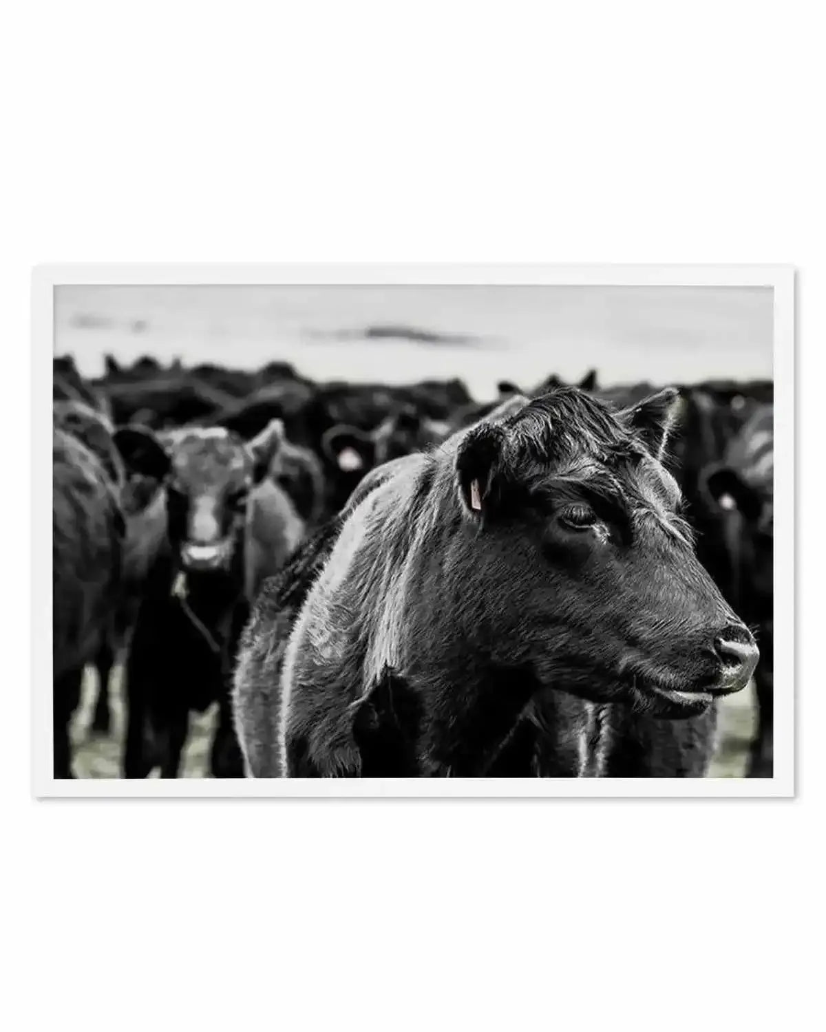 Herd | LS Art Print from Olive et Oriel where you can shop wallpaper and artworks online