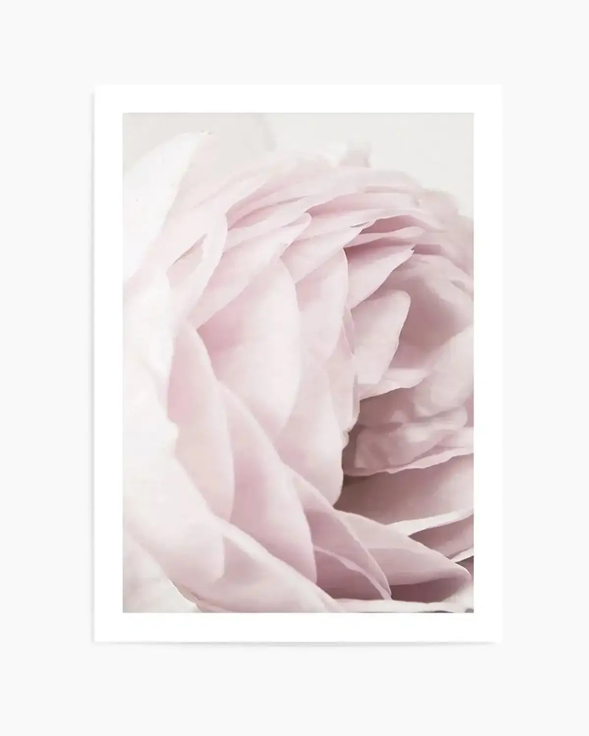 Heritage Rose Art Print from Olive et Oriel where you can shop wallpaper and artworks online