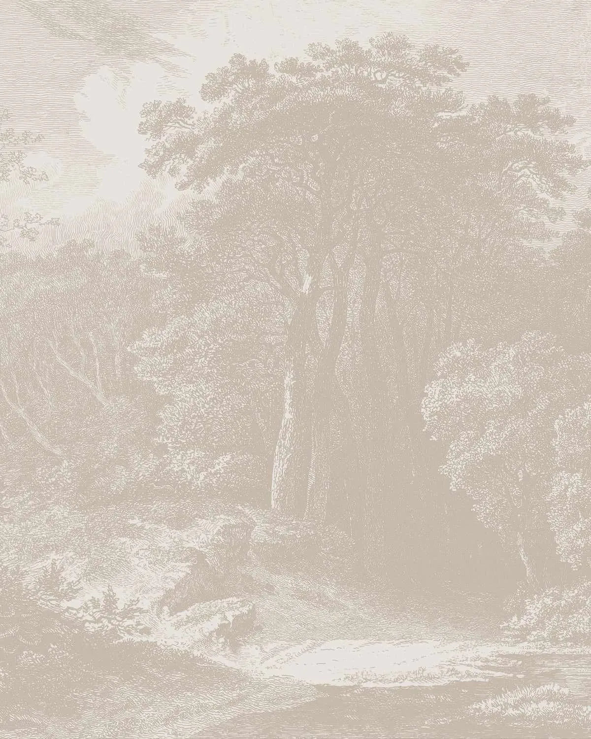 Forest Walk Wallpaper Mural from Olive et Oriel where you can shop wallpaper and artworks online