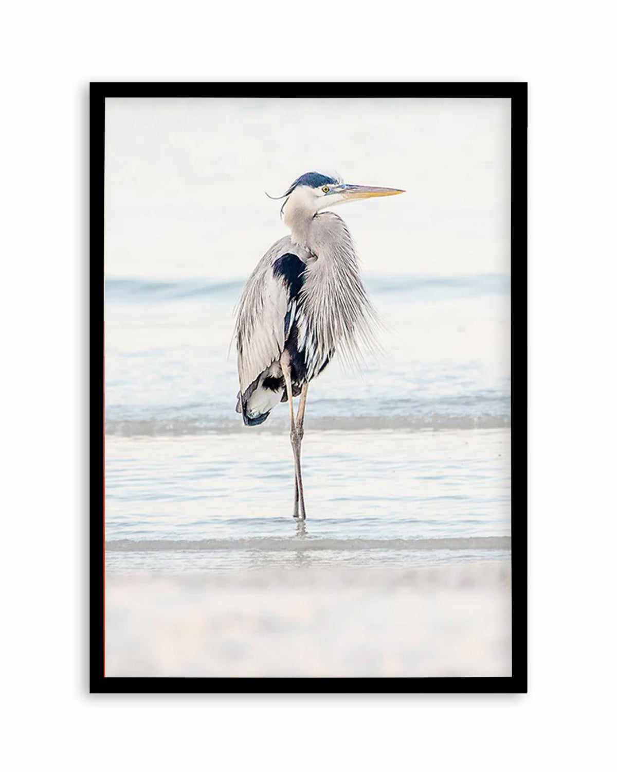 Heron No I Art Print