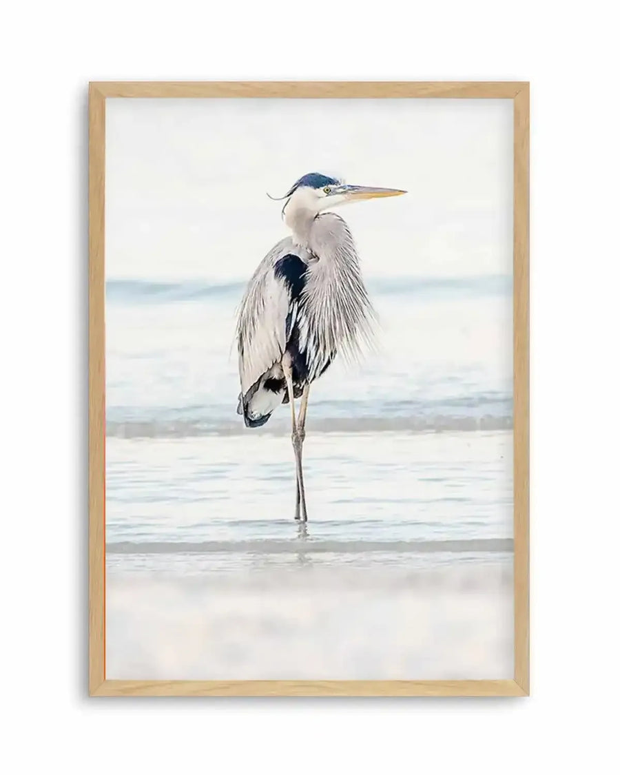 Framed photography art print of a great blue heron standing in shallow water at the beach, with a natural wood frame and white border. The heron is light grey with dark blue markings, a long yellow beak, and is facing right, with gentle waves in the background under a soft, overcast sky.