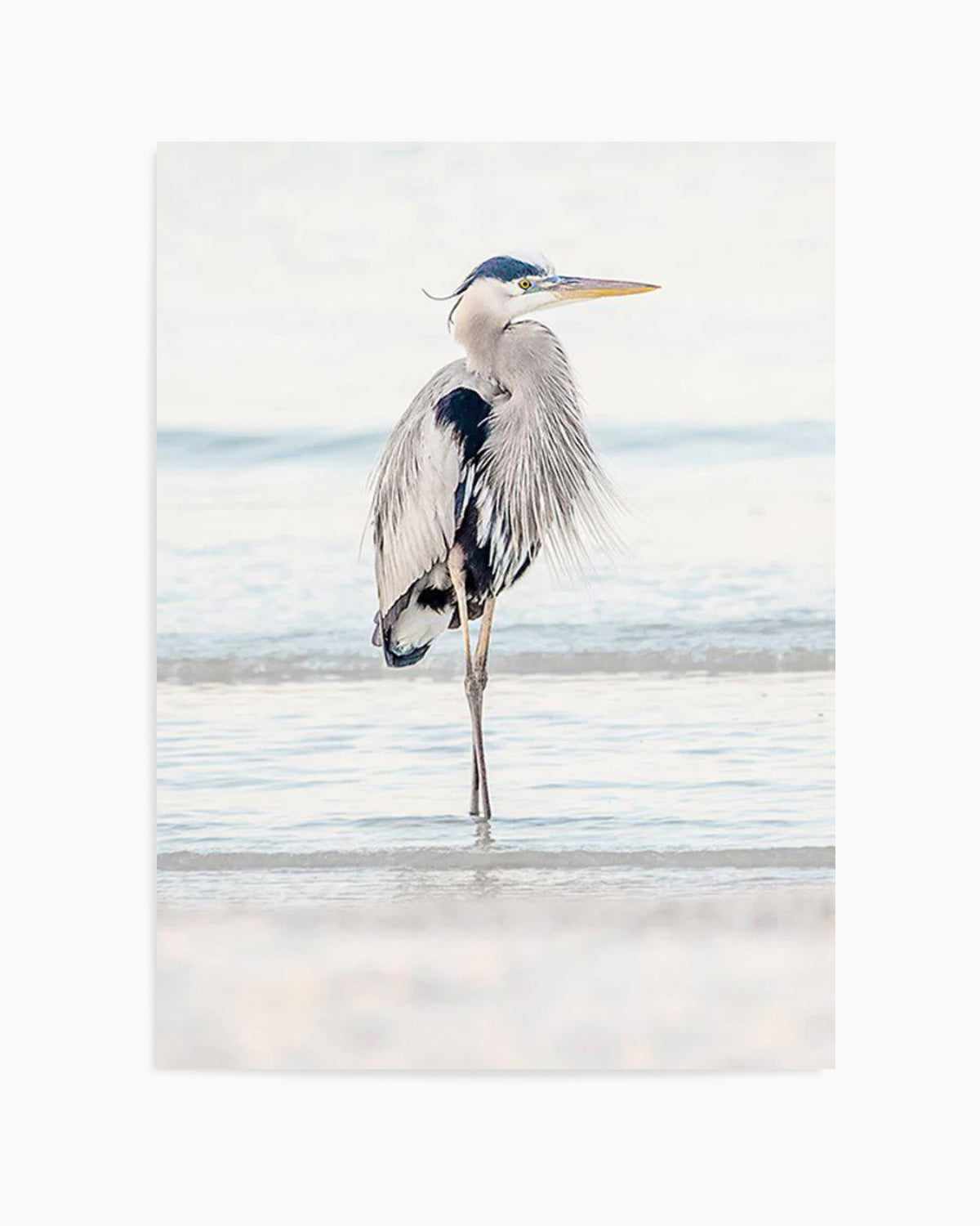 Heron No I Art Print