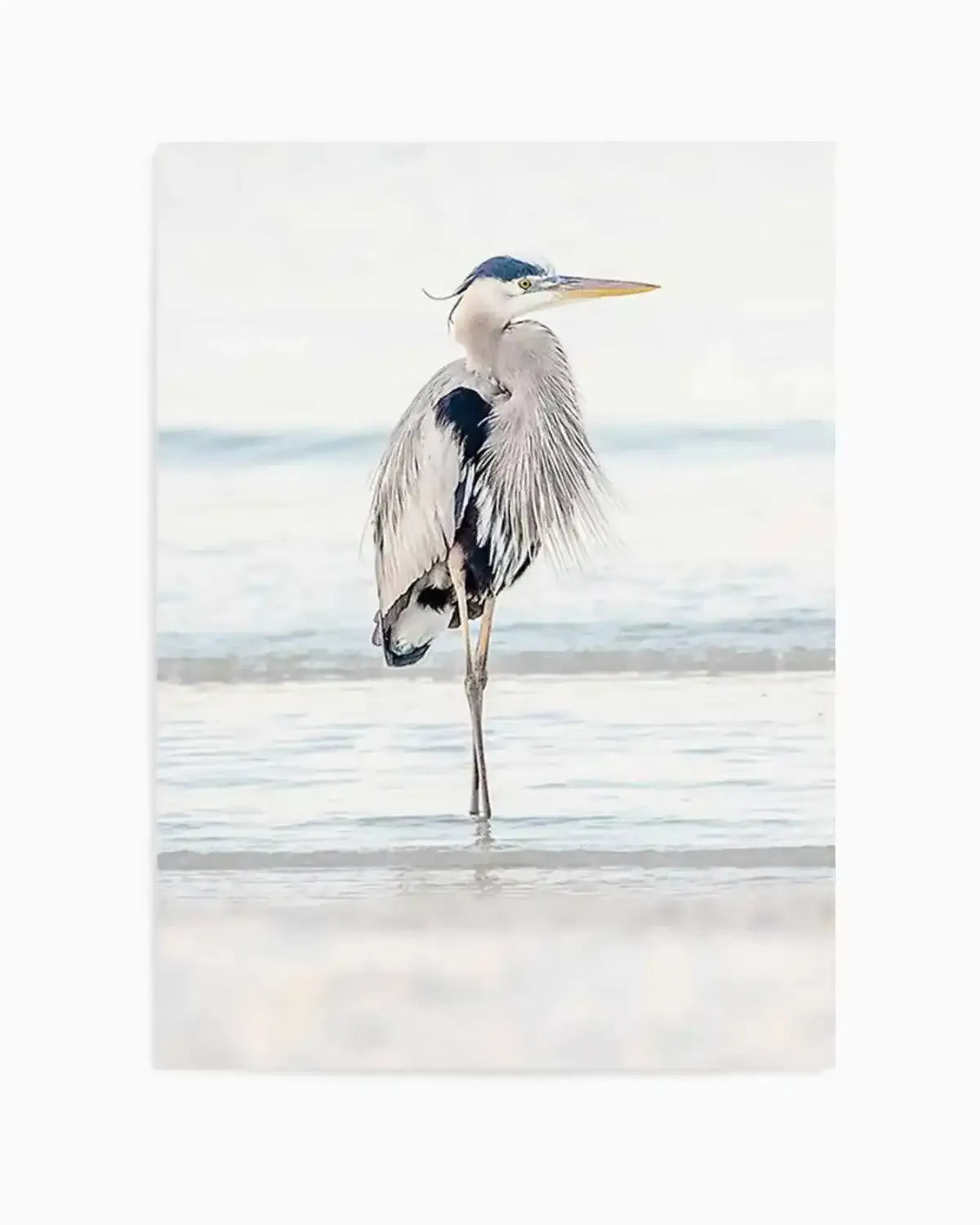 Heron No I Art Print from Olive et Oriel where you can shop wallpaper and artworks online