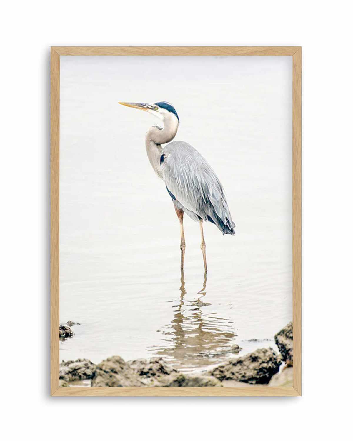 Heron No II Art Print