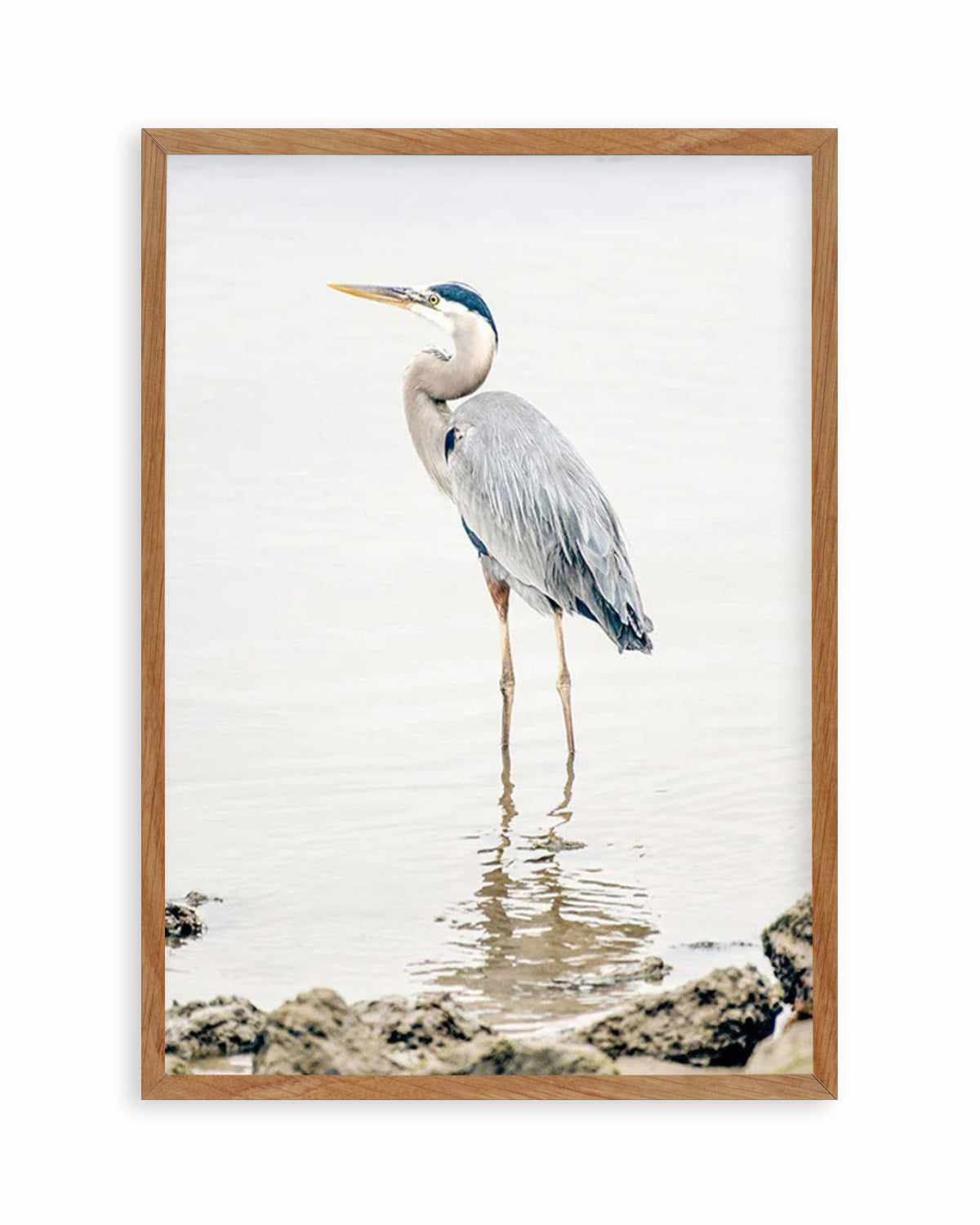 Heron No II Art Print