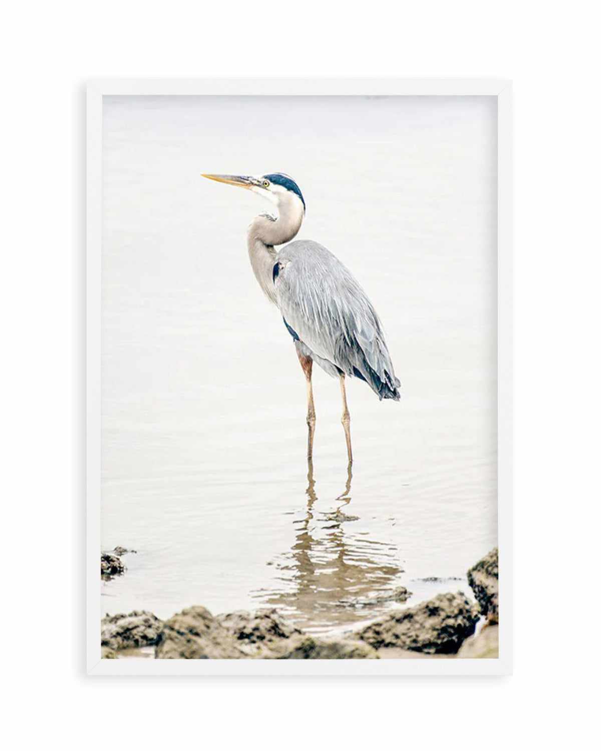 Heron No II Art Print