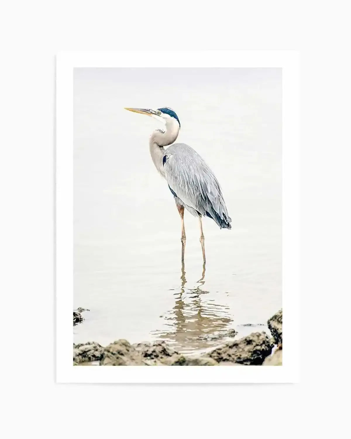 Heron No II Art Print from Olive et Oriel where you can shop wallpaper and artworks online