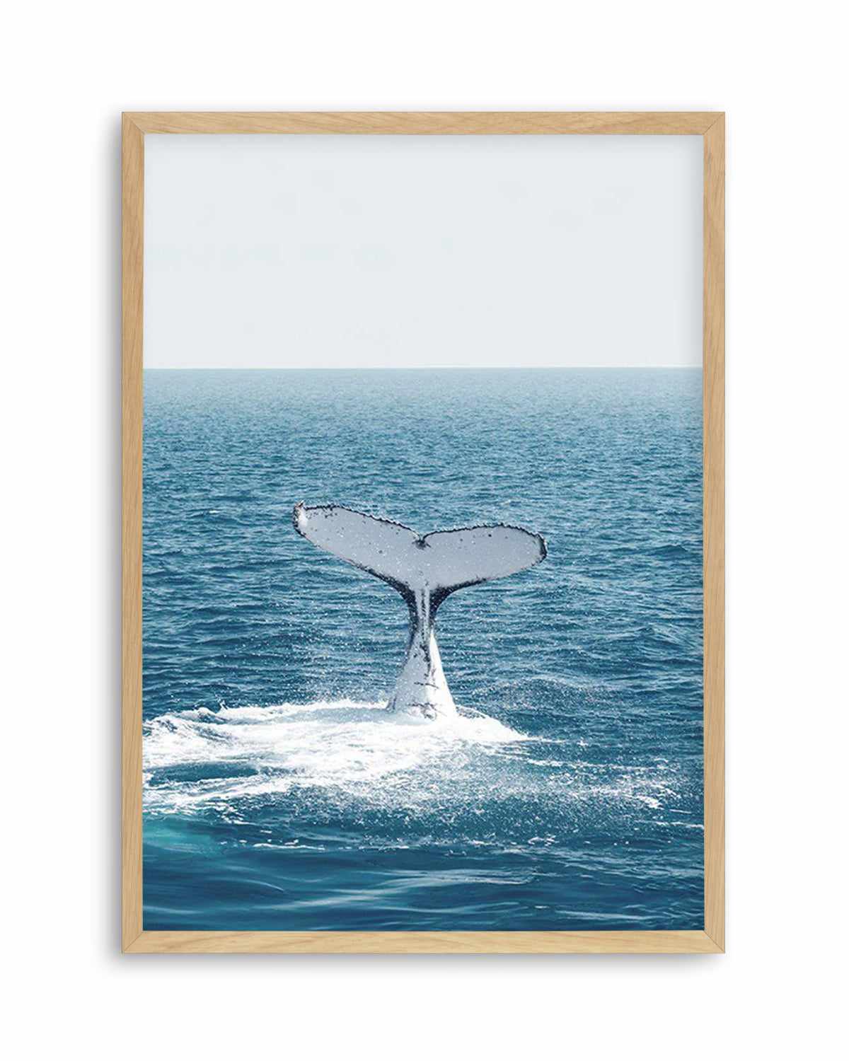 Hervey Bay Whale Art Print