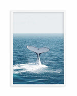 Hervey Bay Whale Art Print
