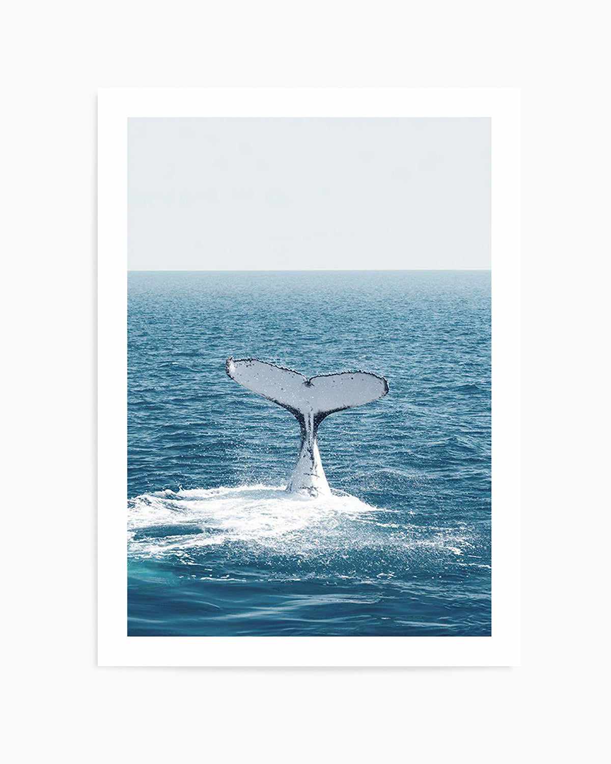 Hervey Bay Whale Art Print