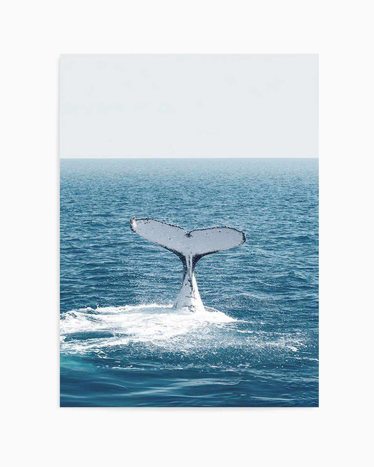 Hervey Bay Whale Art Print