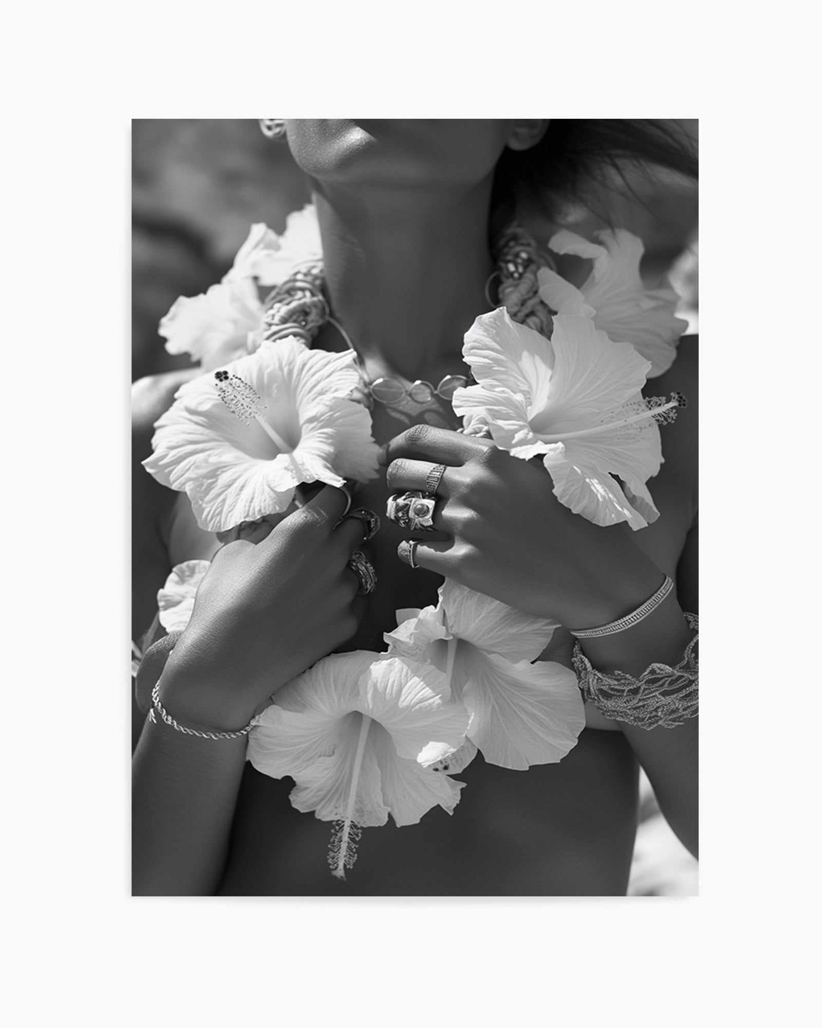 Hibiscus Lei II | Art Print