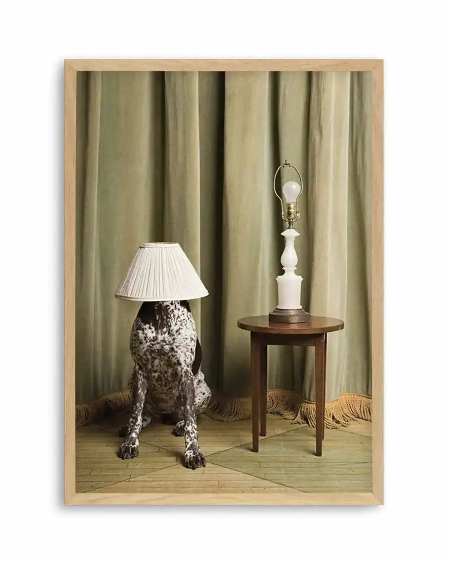 Framed photograph of a German Shorthaired Pointer dog sitting on a light wood floor with a pleated white lampshade on its head, facing a small round dark wood table with a white lamp and exposed bulb. The background features floor-length, pleated sage green curtains, with a fringed rug visible at the bottom of the curtains. The print is displayed in a natural oak frame with white border.