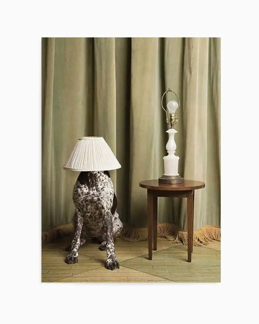 "Framed photography art print featuring a German Shorthaired Pointer dog with a pleated white lampshade on its head, sitting on a light wooden floor with a fringed rug. To the right, a small round wooden table holds a white lamp base with a visible lightbulb, all set against a backdrop of draped olive green curtains."
