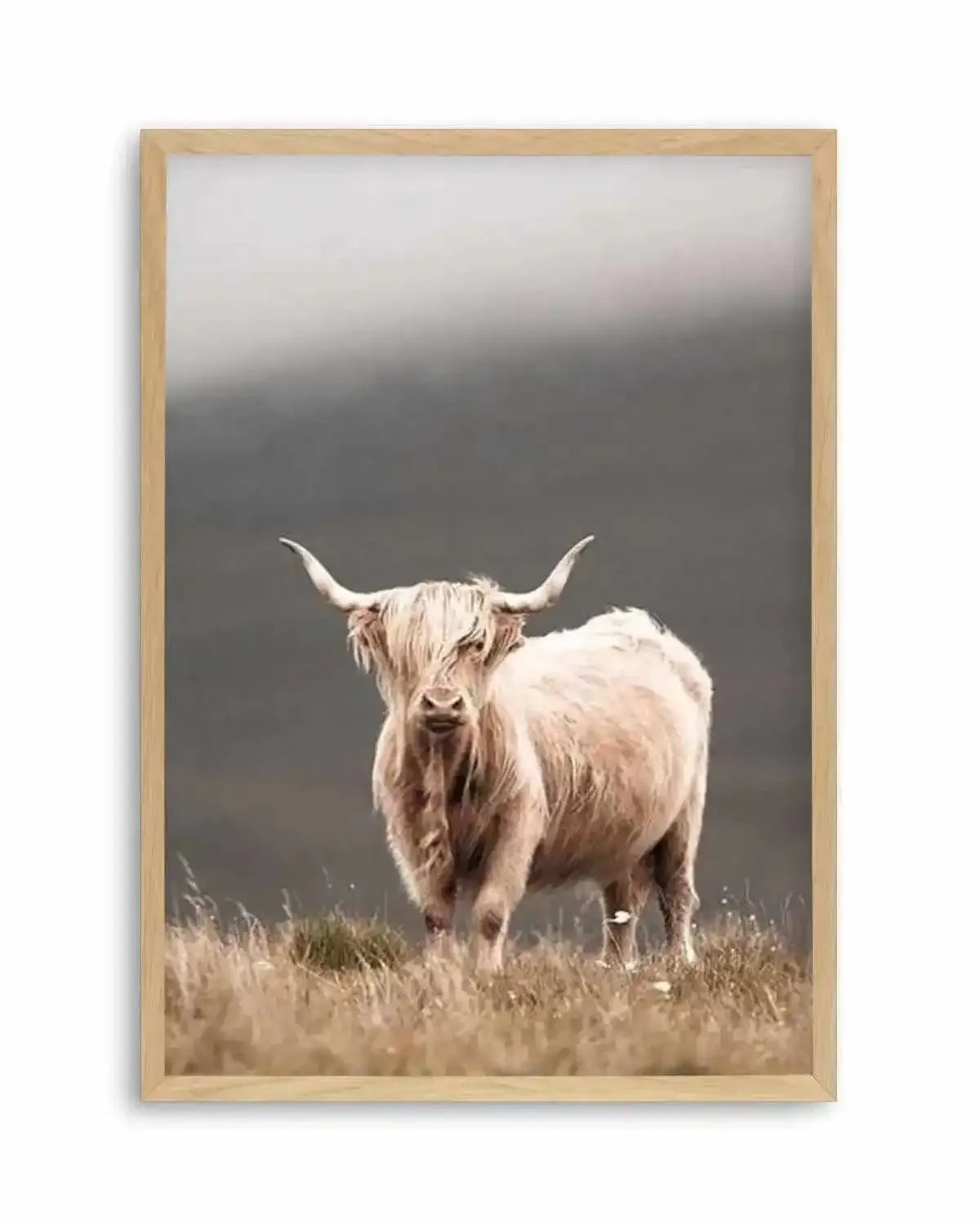 Highland Cow Art Print from Olive et Oriel where you can shop wallpaper and artworks online