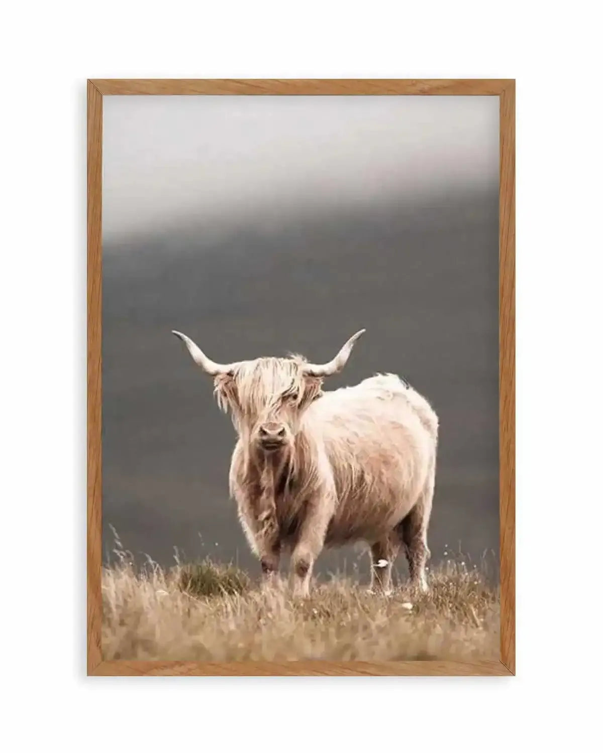 Highland Cow Art Print from Olive et Oriel where you can shop wallpaper and artworks online