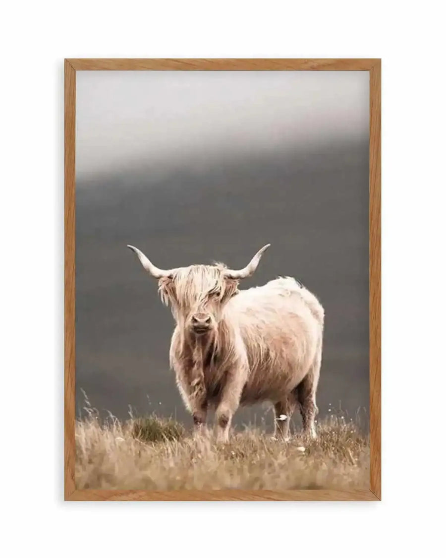 Highland Cow Art Print from Olive et Oriel where you can shop wallpaper and artworks online