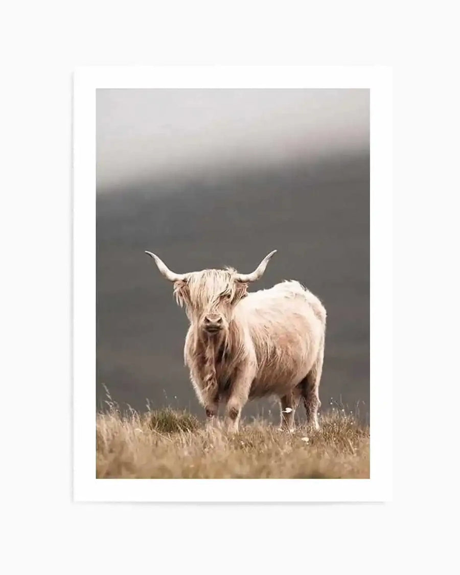 Framed photograph of a Highland cow standing in a field of dry grass under an overcast sky. The cow has long, shaggy, light cream-colored hair covering its eyes and large curved horns. The background is a muted grey and dark grey, suggesting a cloudy or misty day.