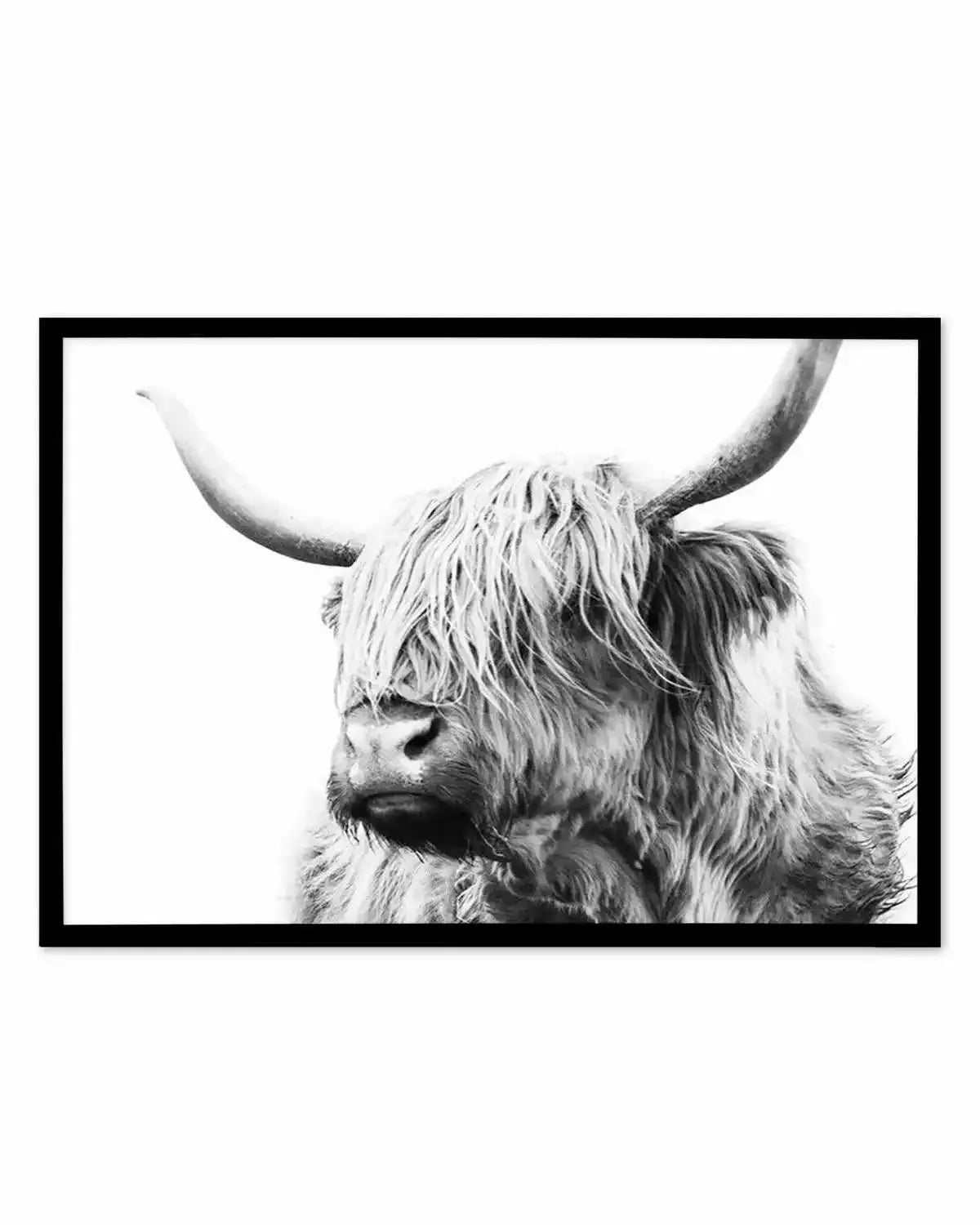 Highland Cow B&W Close-up Art Print from Olive et Oriel where you can shop wallpaper and artworks online