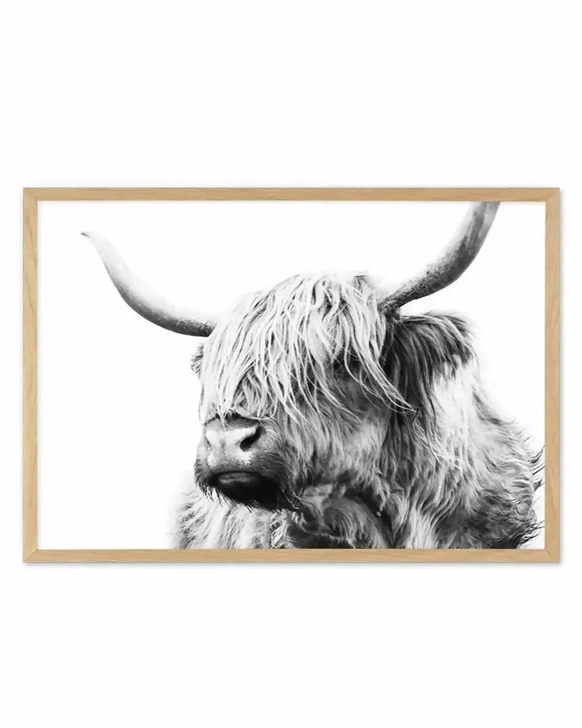 Highland Cow B&W Close-up Art Print from Olive et Oriel where you can shop wallpaper and artworks online