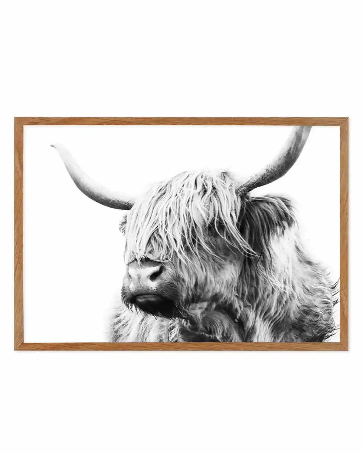 Highland Cow B&W Close-up Art Print from Olive et Oriel where you can shop wallpaper and artworks online